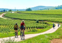 À travers les vignobles et châteaux itinéraires cyclistes en Bourgogne