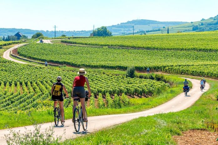 À travers les vignobles et châteaux itinéraires cyclistes en Bourgogne